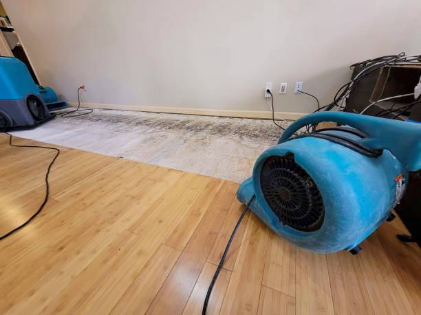 Professional Burst Pipe Water Damage technician working in Milfay, OK